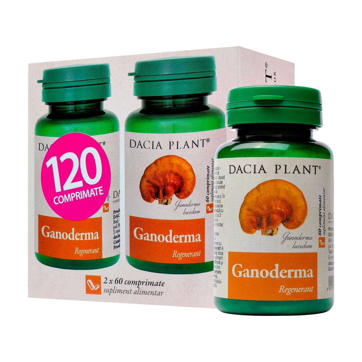 Ganoderma 120 comprimate