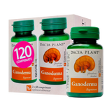 Ganoderma 120 comprimate