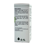Extract din muguri de Ginkgo biloba 50 ml