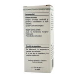Extract din muguri de Ginkgo biloba 50 ml