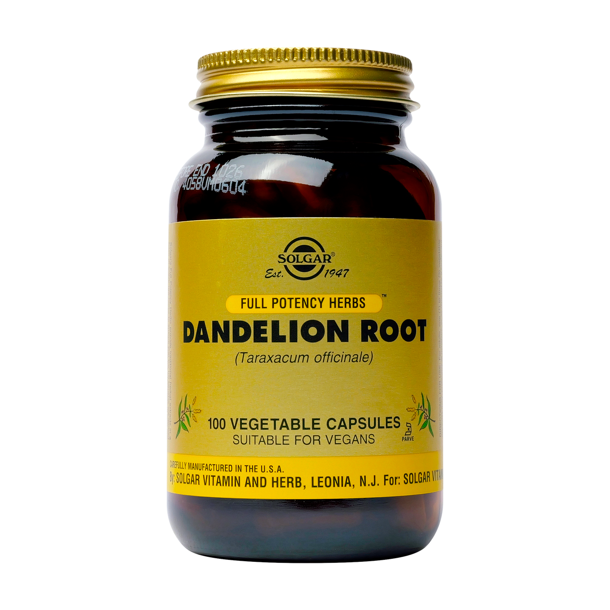 Dandelion 100 capsule