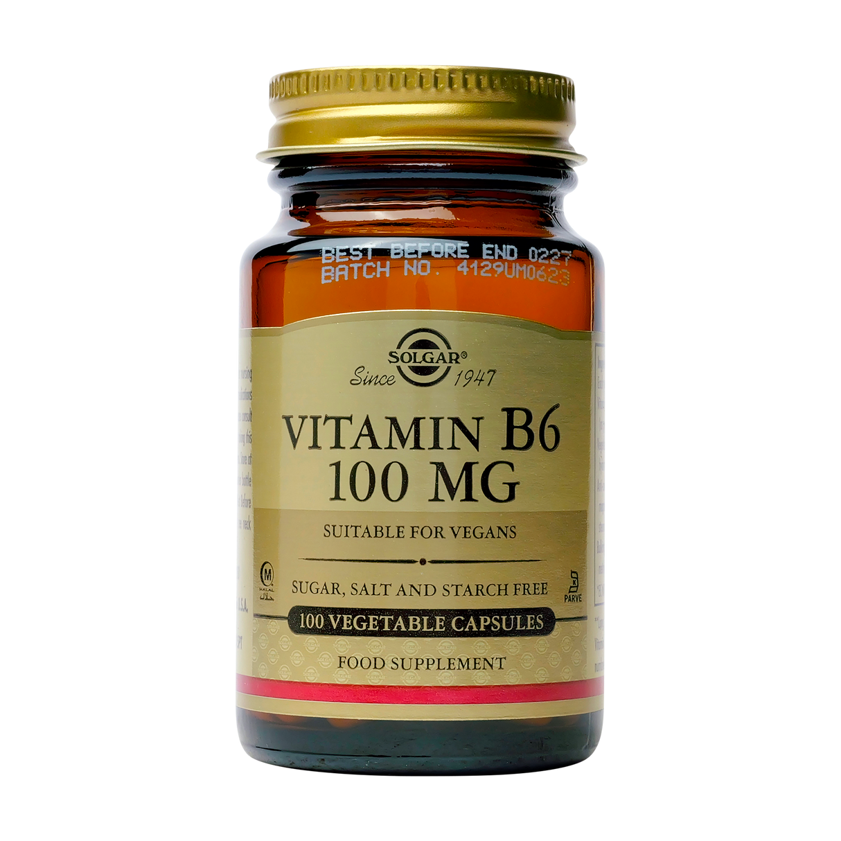 Vitamin B-6 100mg 100 capsule
