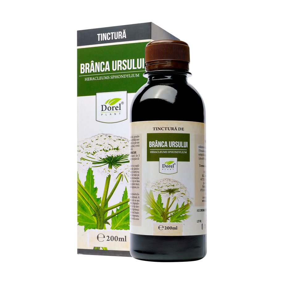 Tinctura branca ursului 200 ml Dorel Plant