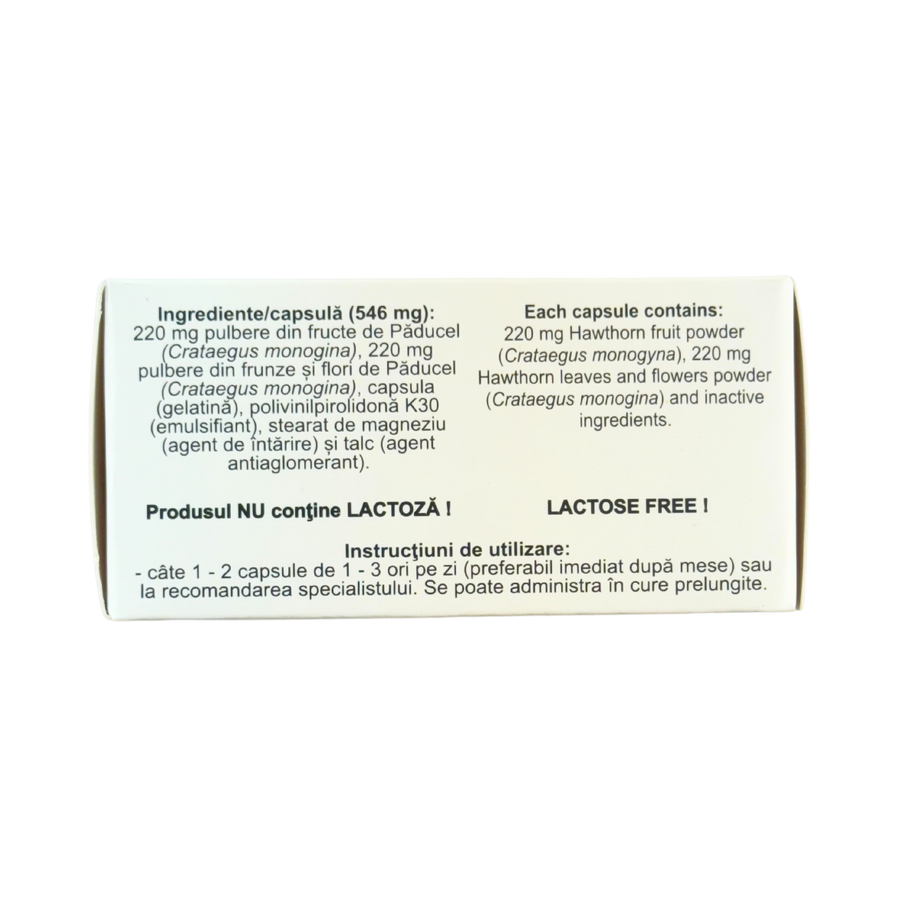 Paducel 40 capsule Hofigal