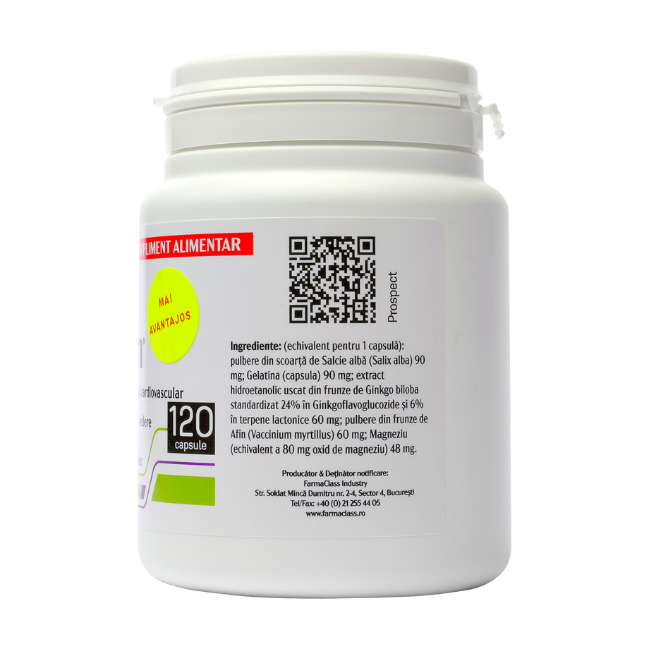 Ginkoven 120 capsule