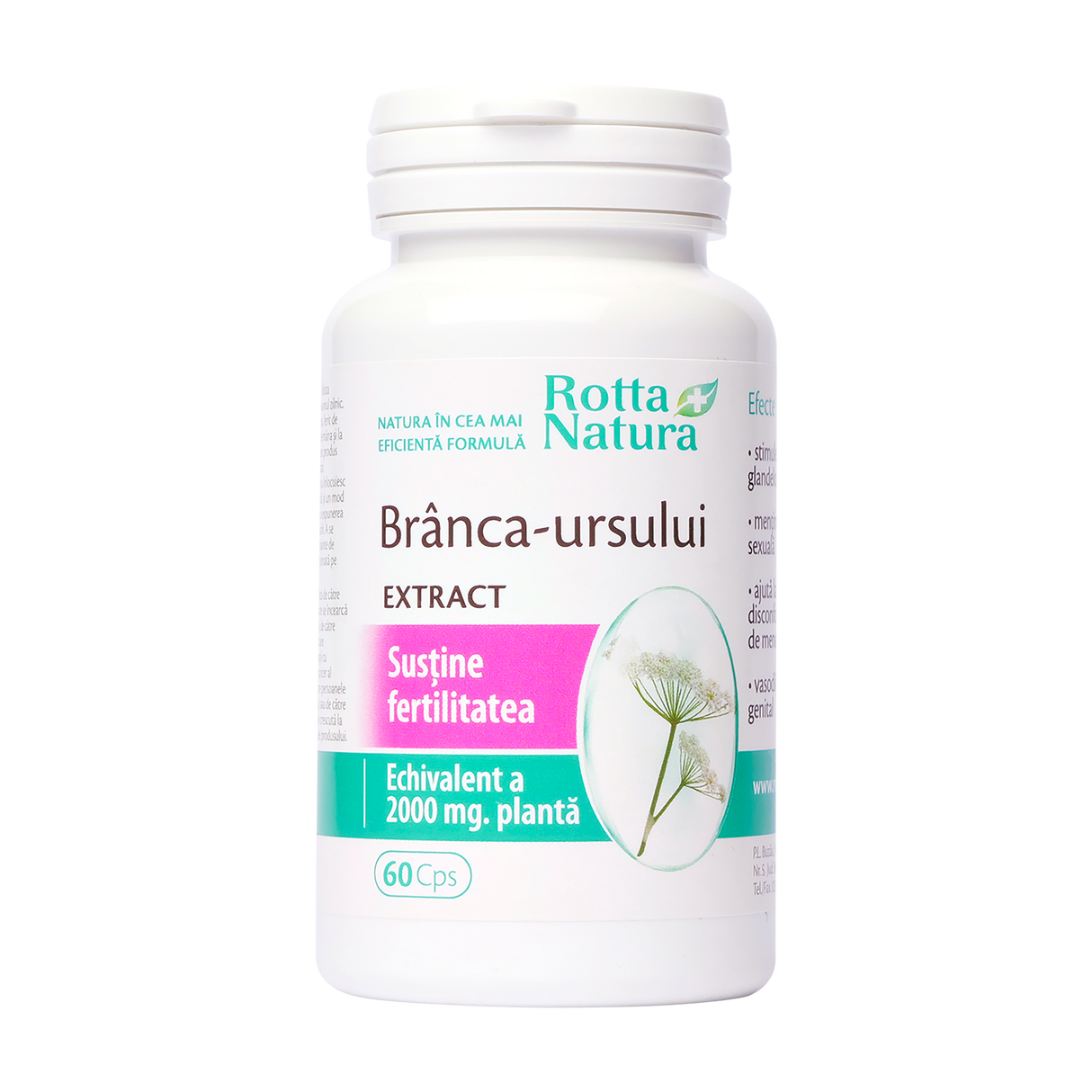 Branca ursului extract 60 capsule