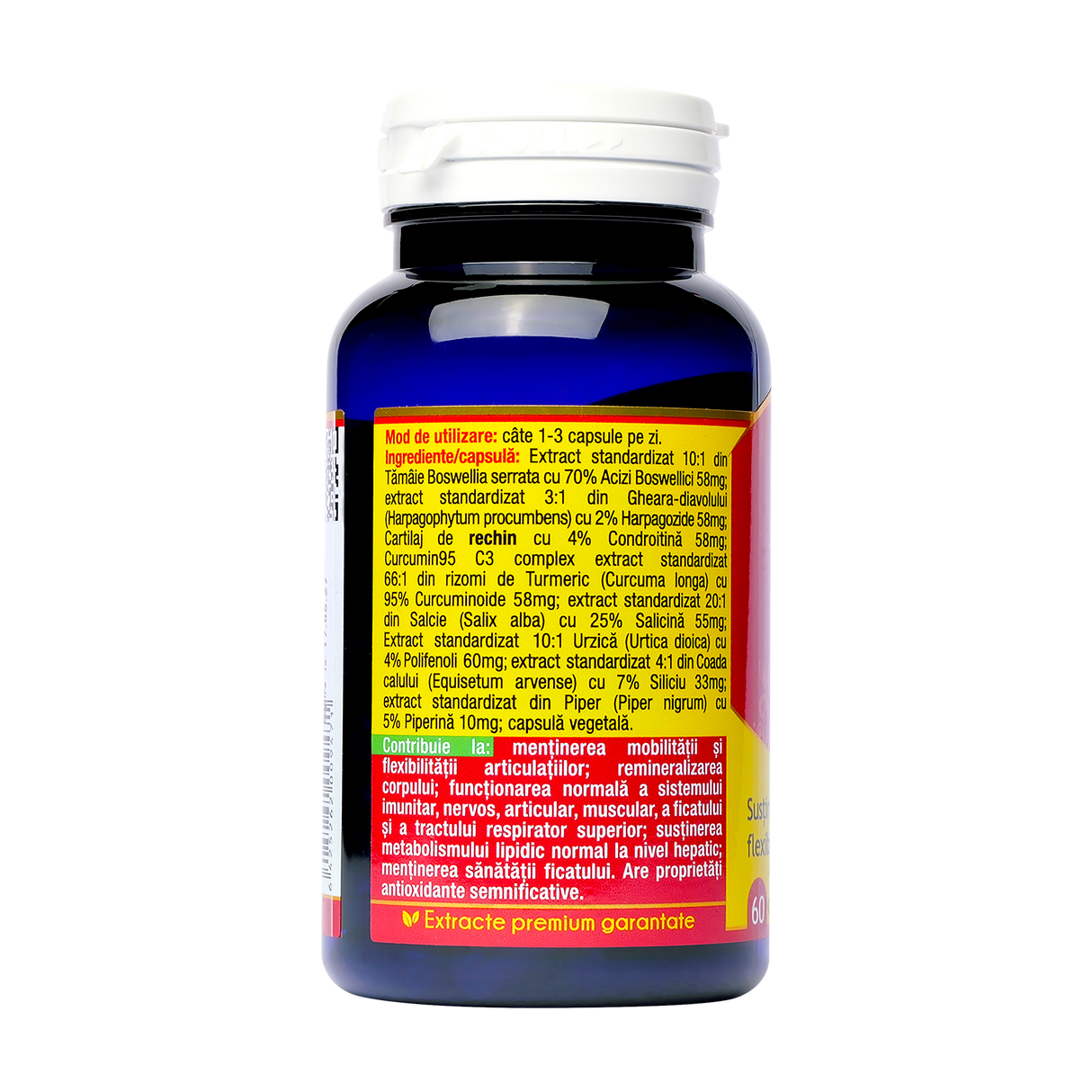 Artro + Curcumin 95 60 capsule