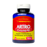 Artro + Curcumin 95 120 capsule