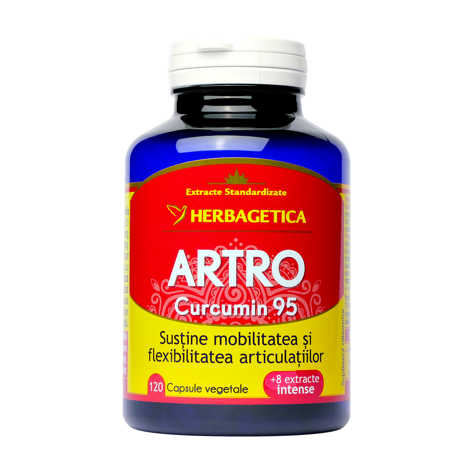 Artro + Curcumin 95 120 capsule
