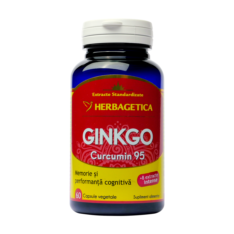 Ginkgo + curcumin'95 60 capsule