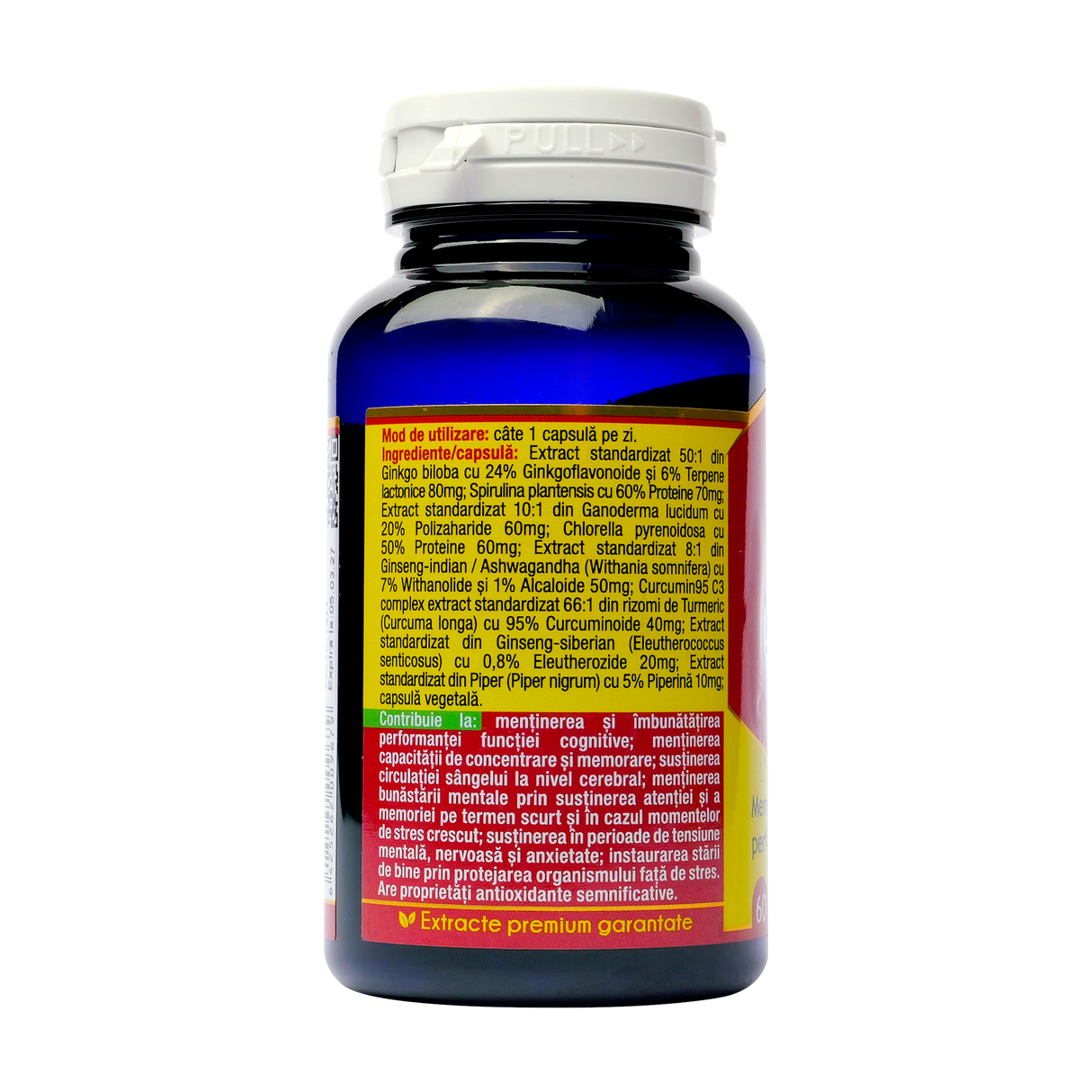 Ginkgo + curcumin'95 60 capsule