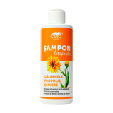 Sampon galbenele si miere 200 ml