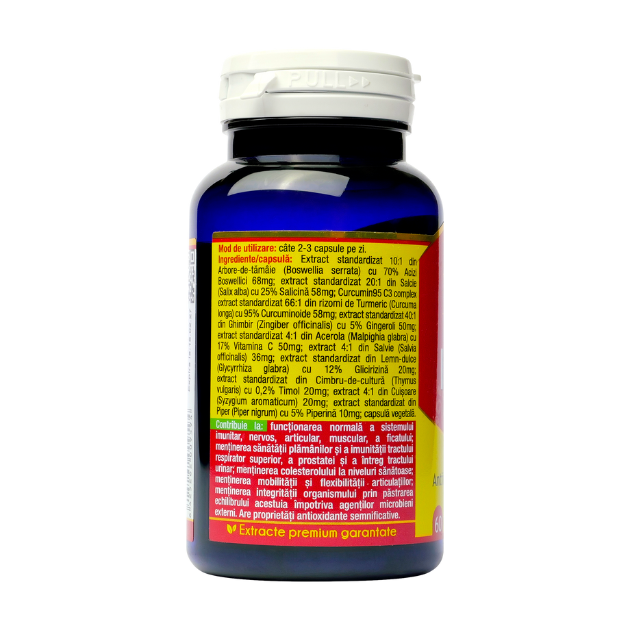 Inflanat+ curcumin'95 60 capsule