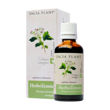 Herbo tensin 50 ml