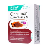 Cinnamon extract si crom si zinc 90 capsule