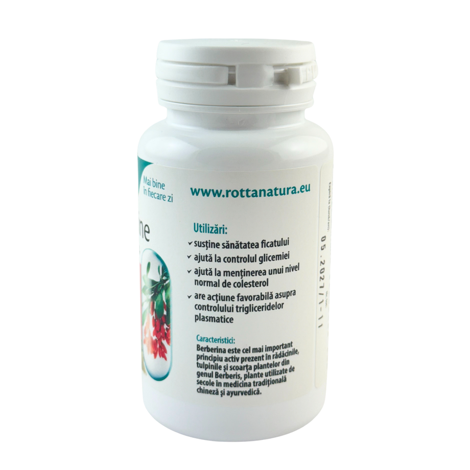 Berberine extract 500mg 30 capsule