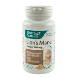 Lion's mane extract 500mg 30 capsule