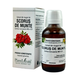 Extract din muguri de Scorus de munte 50 ml