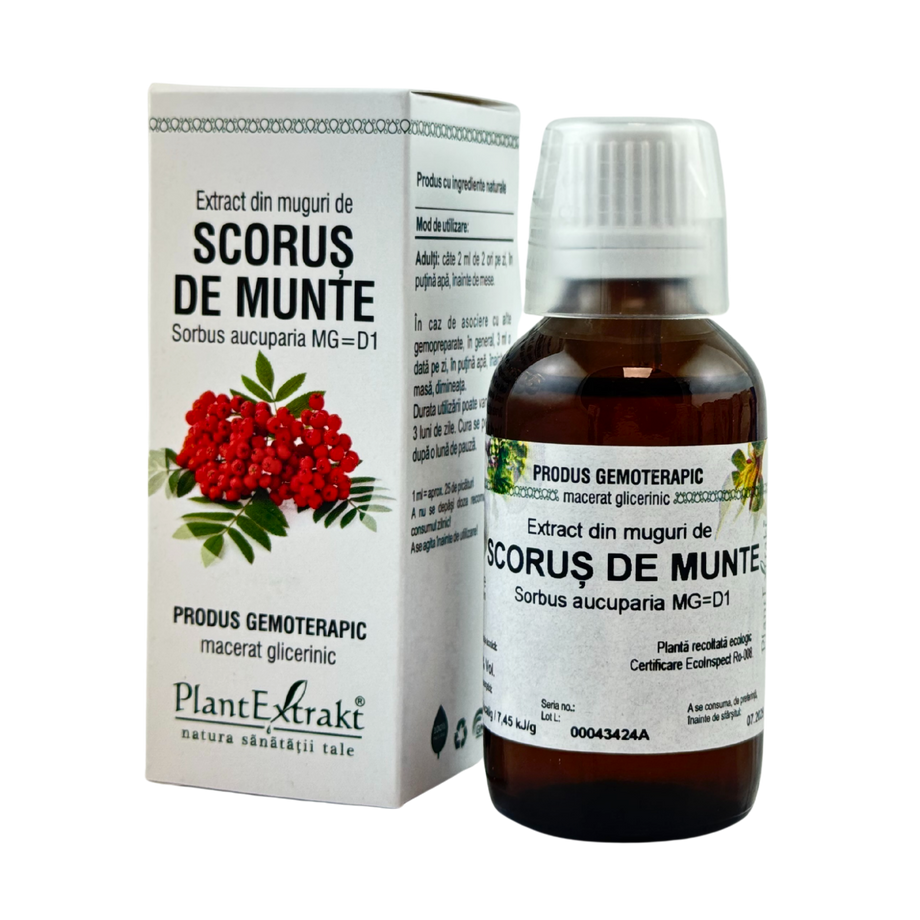 Extract din muguri de Scorus de munte 50 ml