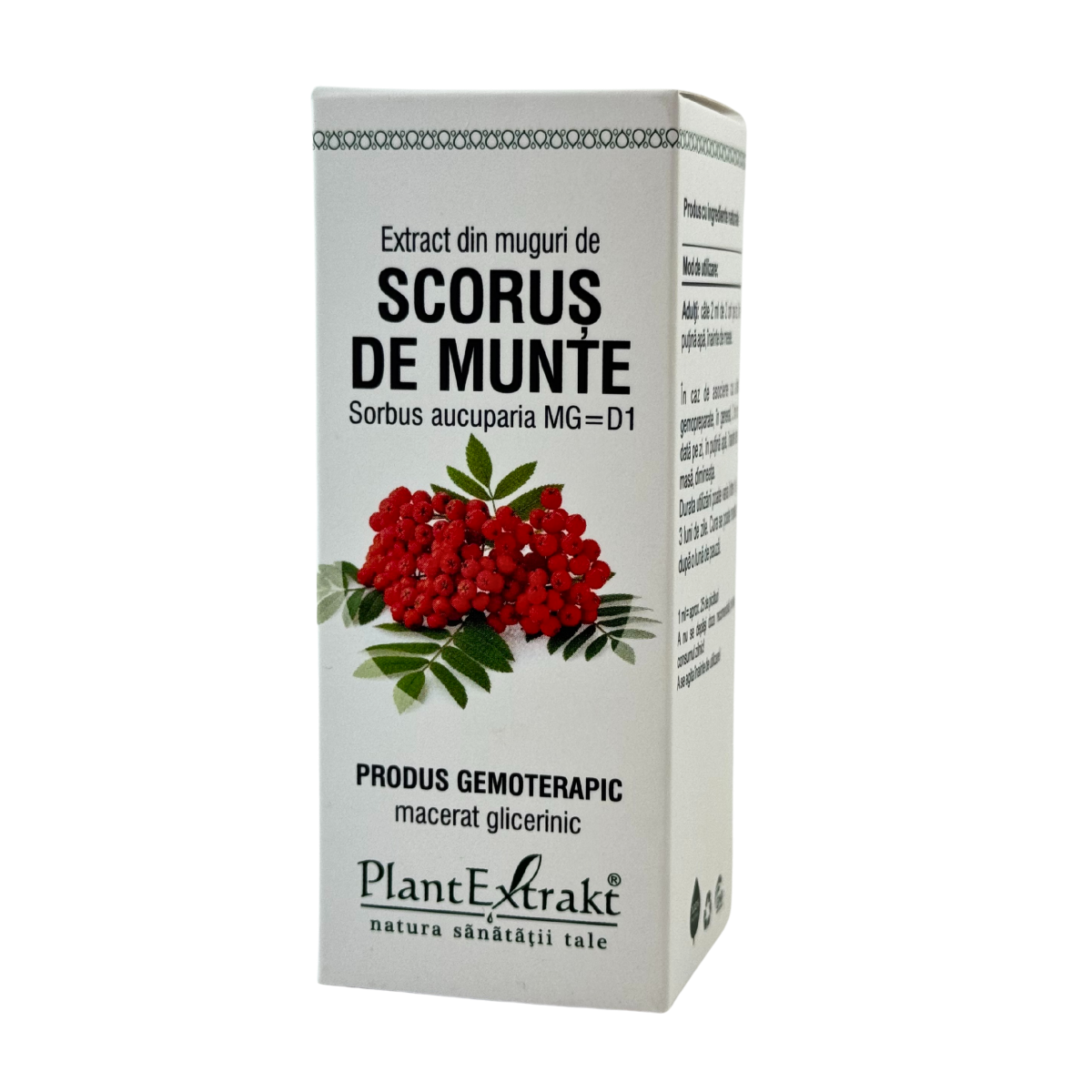 Extract din muguri de Scorus de munte 50 ml