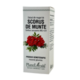 Extract din muguri de Scorus de munte 50 ml