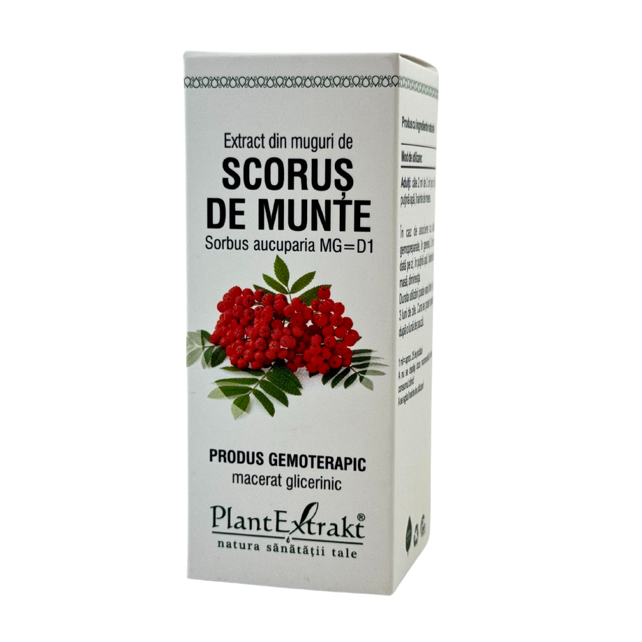 Extract din muguri de Scorus de munte 50 ml