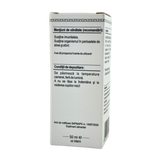 Extract din muguri de Scorus de munte 50 ml