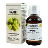 Extract din conuri de Hamei 50 ml