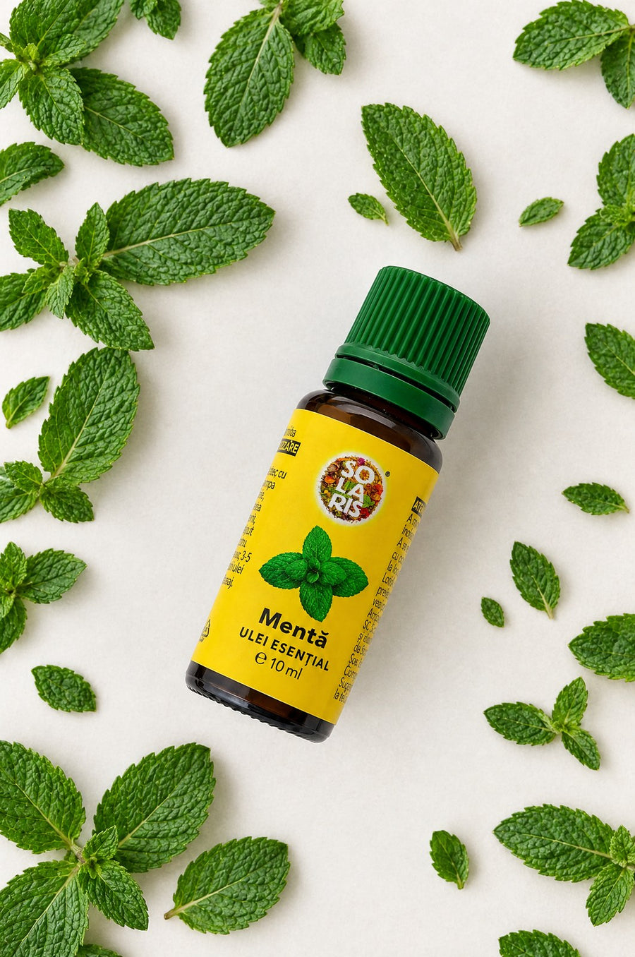 Ulei esențial de mentă Solaris, 10 ml, între frunze de mentă